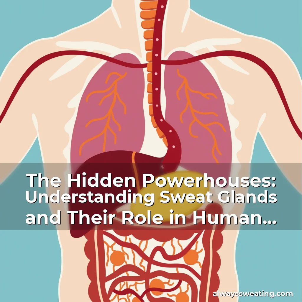 Artistic representation for The Hidden Powerhouses: Understanding Sweat Glands and Their Role in Human Physiology